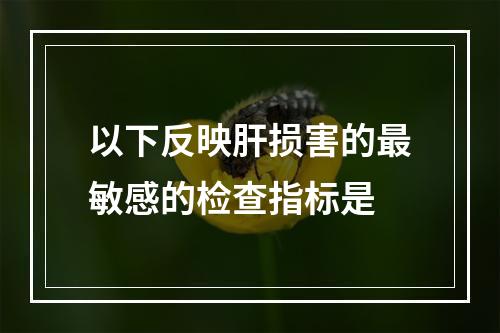 以下反映肝损害的最敏感的检查指标是