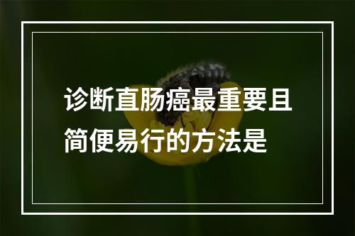 诊断直肠癌最重要且简便易行的方法是