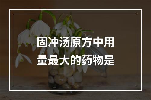 固冲汤原方中用量最大的药物是