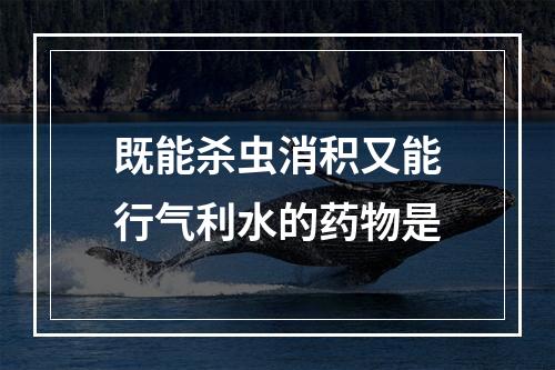 既能杀虫消积又能行气利水的药物是