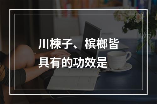 川楝子、槟榔皆具有的功效是