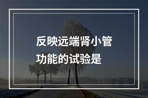 反映远端肾小管功能的试验是