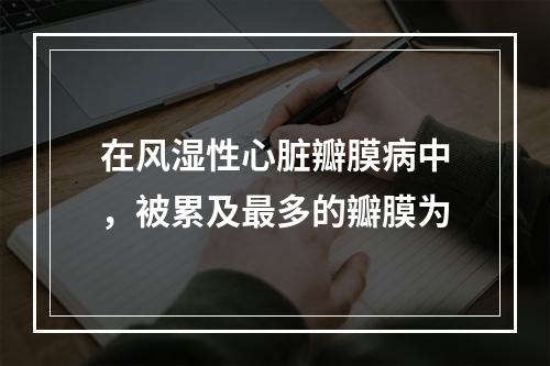 在风湿性心脏瓣膜病中，被累及最多的瓣膜为