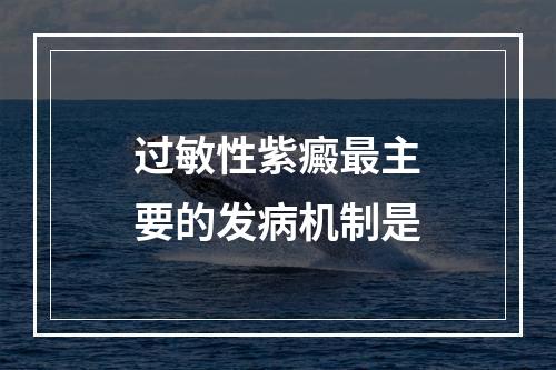 过敏性紫癜最主要的发病机制是