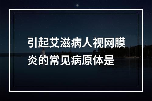 引起艾滋病人视网膜炎的常见病原体是