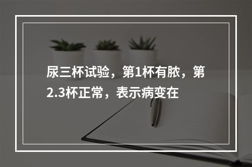 尿三杯试验，第1杯有脓，第2.3杯正常，表示病变在