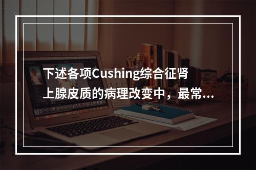 下述各项Cushing综合征肾上腺皮质的病理改变中，最常见者