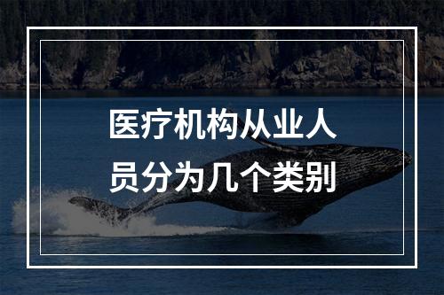 医疗机构从业人员分为几个类别