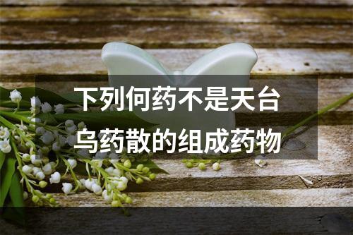 下列何药不是天台乌药散的组成药物