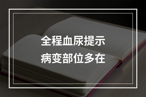 全程血尿提示病变部位多在