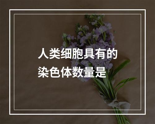 人类细胞具有的染色体数量是