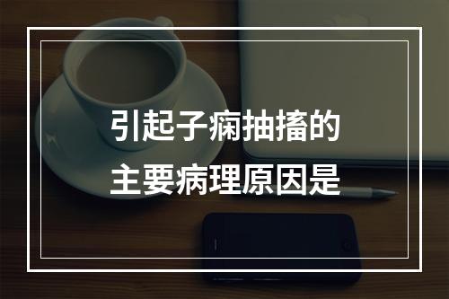 引起子痫抽搐的主要病理原因是