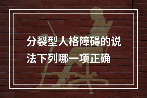 分裂型人格障碍的说法下列哪一项正确