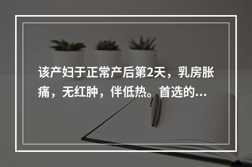 该产妇于正常产后第2天，乳房胀痛，无红肿，伴低热。首选的护理