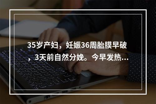 35岁产妇，妊娠36周胎膜早破，3天前自然分娩。今早发热，腹