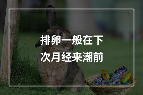 排卵一般在下次月经来潮前