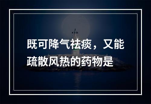 既可降气祛痰，又能疏散风热的药物是