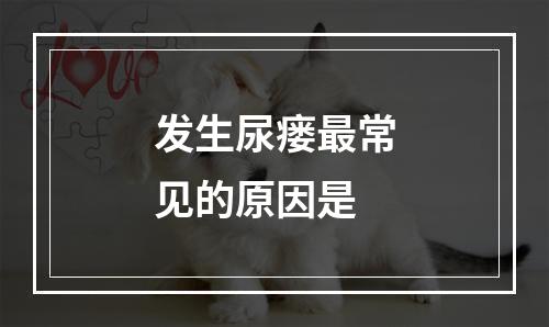 发生尿瘘最常见的原因是