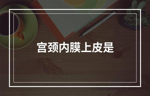 宫颈内膜上皮是