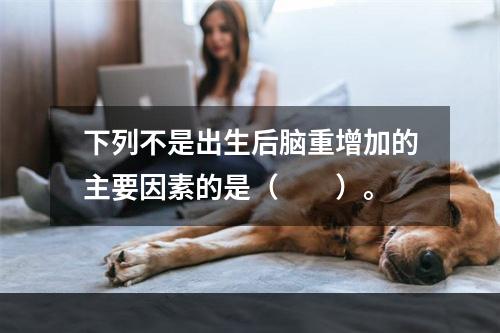 下列不是出生后脑重增加的主要因素的是（　　）。