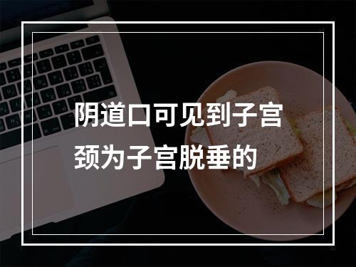 阴道口可见到子宫颈为子宫脱垂的