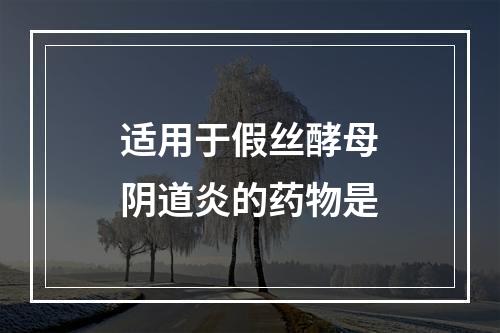 适用于假丝酵母阴道炎的药物是