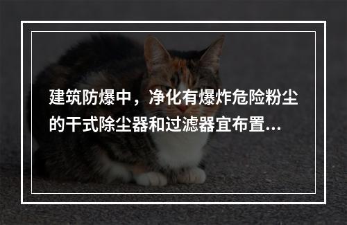 建筑防爆中，净化有爆炸危险粉尘的干式除尘器和过滤器宜布置在厂