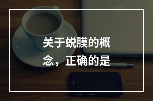 关于蜕膜的概念，正确的是