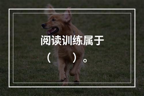 阅读训练属于（　　）。