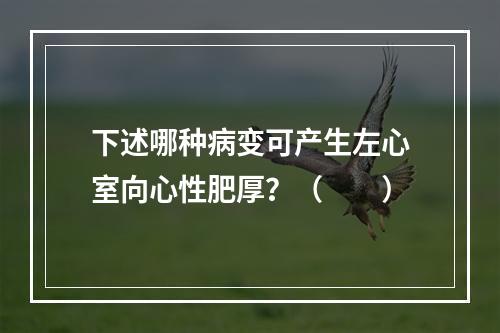 下述哪种病变可产生左心室向心性肥厚？（　　）