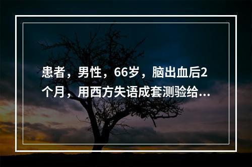 患者，男性，66岁，脑出血后2个月，用西方失语成套测验给患