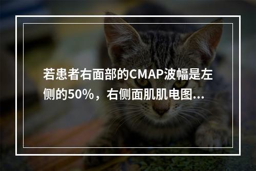 若患者右面部的CMAP波幅是左侧的50％，右侧面肌肌电图示运