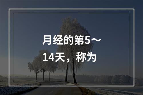 月经的第5～14天，称为