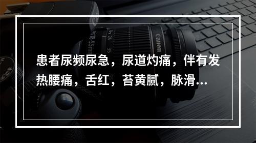 患者尿频尿急，尿道灼痛，伴有发热腰痛，舌红，苔黄腻，脉滑数，