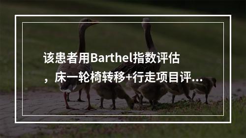 该患者用Barthel指数评估，床一轮椅转移+行走项目评分为