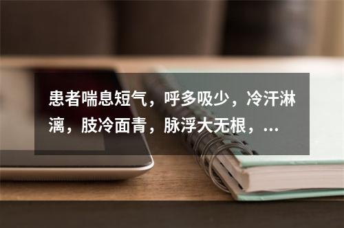 患者喘息短气，呼多吸少，冷汗淋漓，肢冷面青，脉浮大无根，宜诊