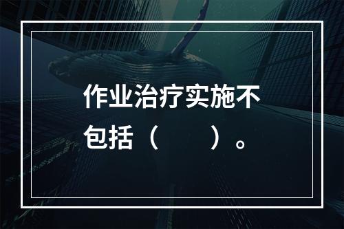 作业治疗实施不包括（　　）。