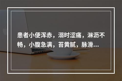 患者小便浑赤，溺时涩痛，淋沥不畅，小腹急满，苔黄腻，脉滑数，