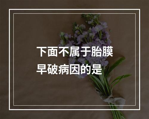 下面不属于胎膜早破病因的是