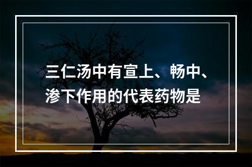 三仁汤中有宣上、畅中、渗下作用的代表药物是