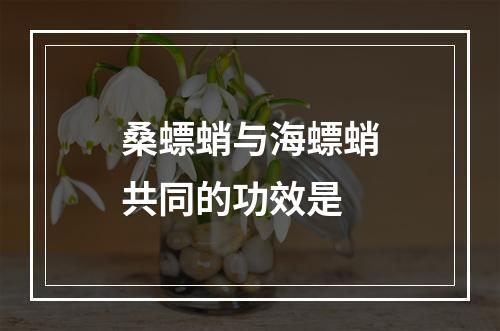 桑螵蛸与海螵蛸共同的功效是