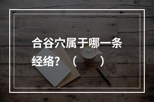 合谷穴属于哪一条经络？（　　）