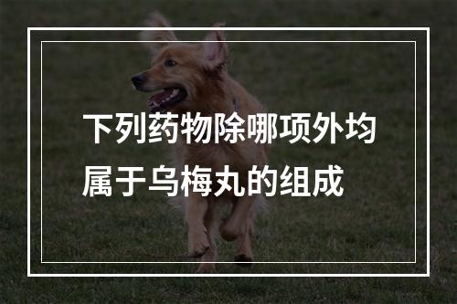 下列药物除哪项外均属于乌梅丸的组成