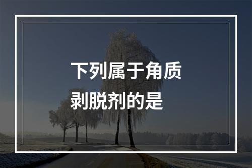 下列属于角质剥脱剂的是