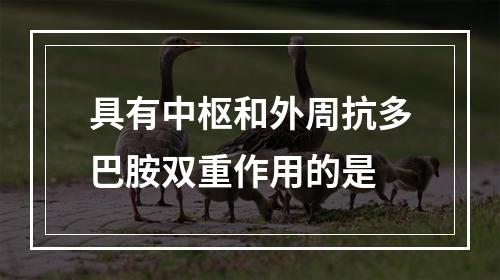 具有中枢和外周抗多巴胺双重作用的是