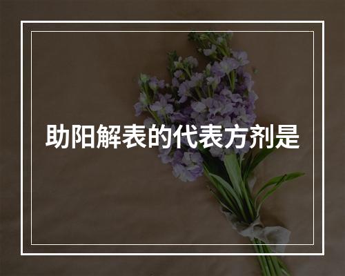 助阳解表的代表方剂是