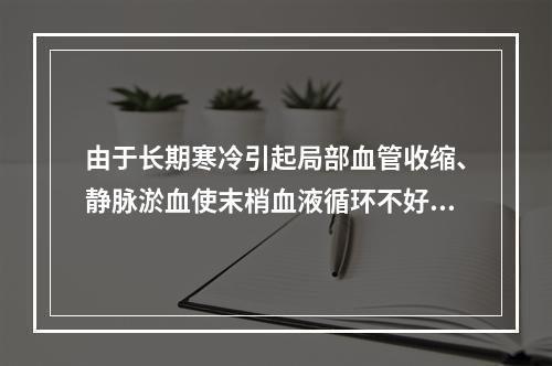 由于长期寒冷引起局部血管收缩、静脉淤血使末梢血液循环不好所致