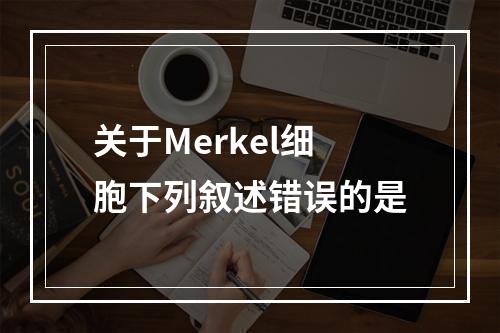 关于Merkel细胞下列叙述错误的是