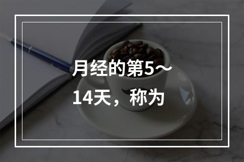 月经的第5～14天，称为