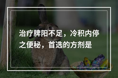 治疗脾阳不足，冷积内停之便秘，首选的方剂是